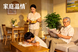 国产剧《家庭温情》剧照